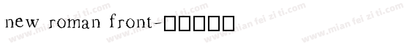 new roman front字体转换